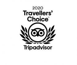 tinga-travellers-choice-2020-tripadvisor